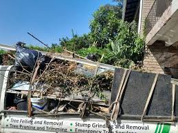 Best Dumpster Rental Services  in South El Monte, CA